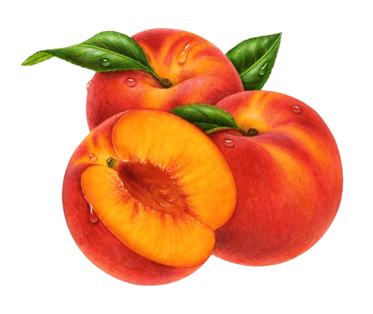 peach-png-4-1