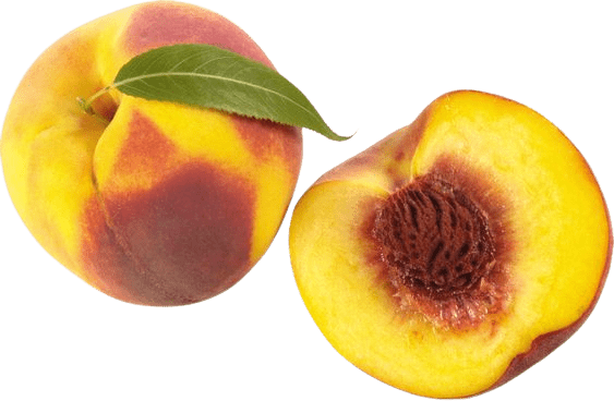 peach-png-7