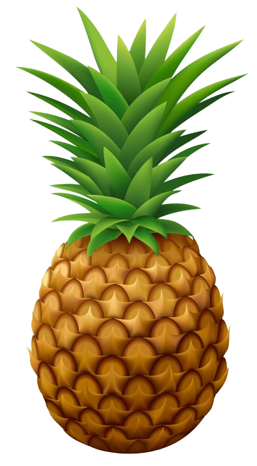 pineapple-png-10-1