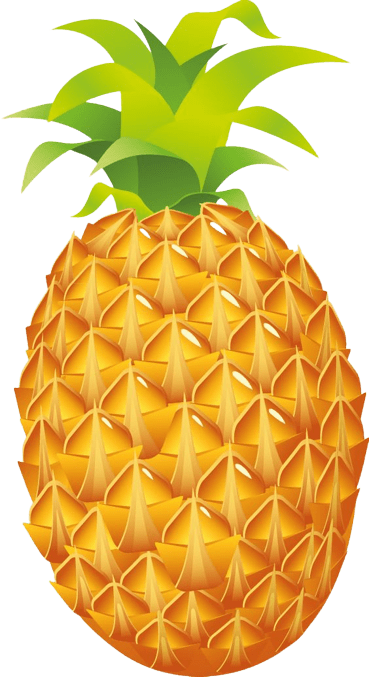 pineapple-png-10