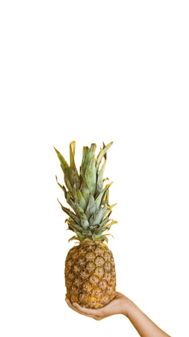 pineapple-png-14
