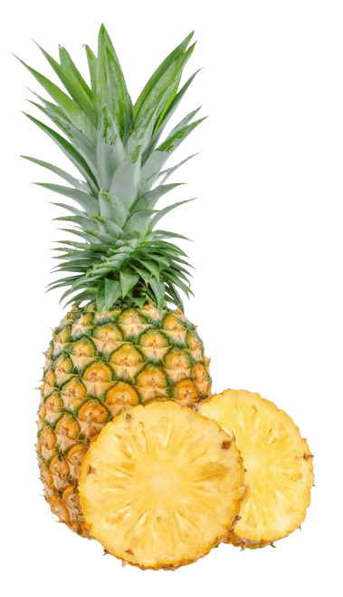 pineapple-png-5-1