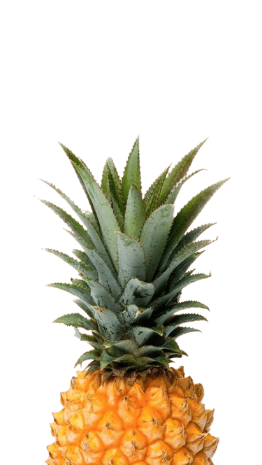 pineapple-png-5