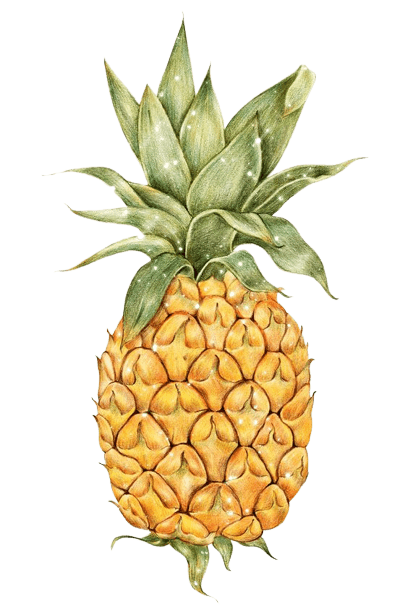 pineapple-png-6-1