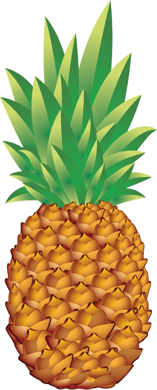 pineapple-png-8-1