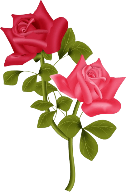 roses-png-2-4