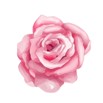 roses-png-6-4