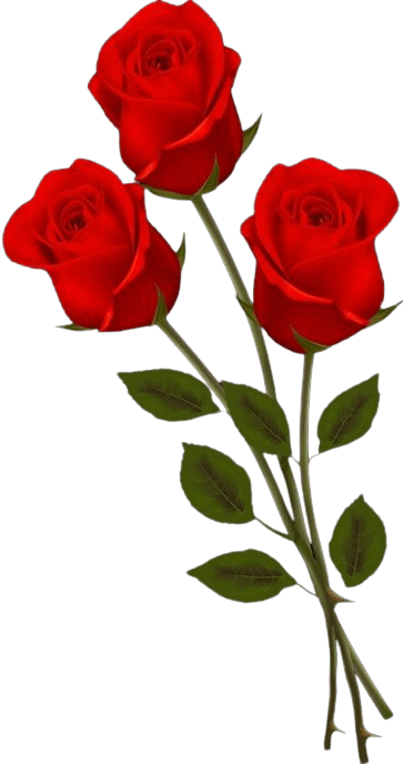 roses-png-7-2