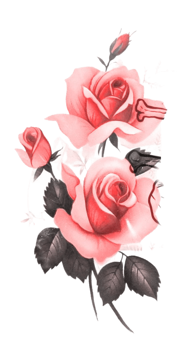 roses-png-9