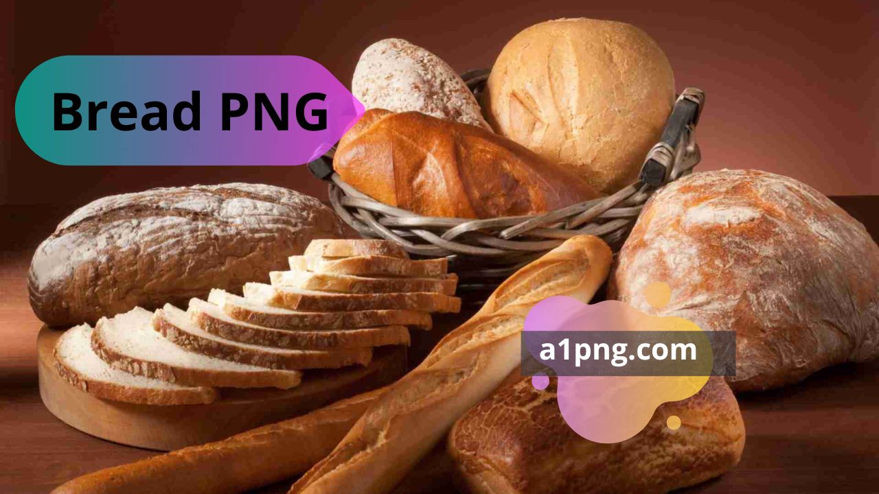 [New 30+]» Bread PNG» ClipArt, Logo & HD Background