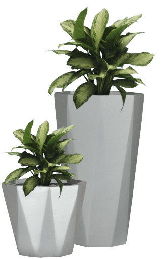 plant-1-3