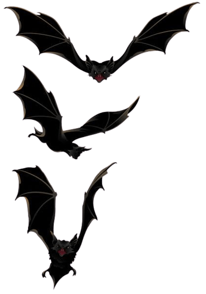 bats-png-11-1