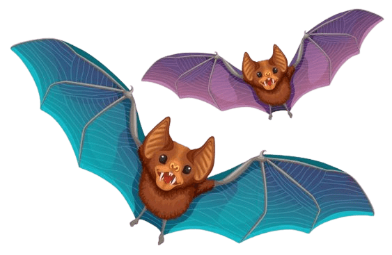 bats-png-2-2