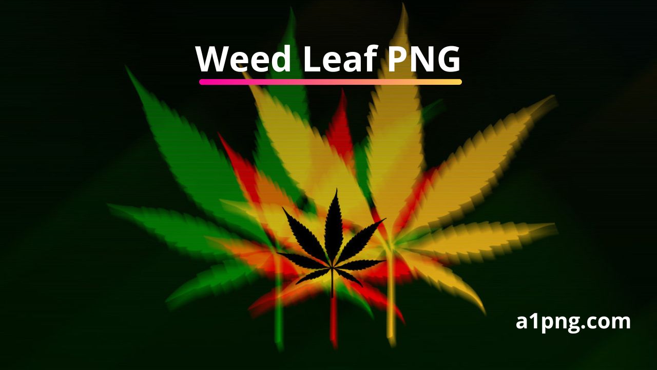 [Best 50+]» Weed Leaf PNG, Logo, ClipArt [HD Background]